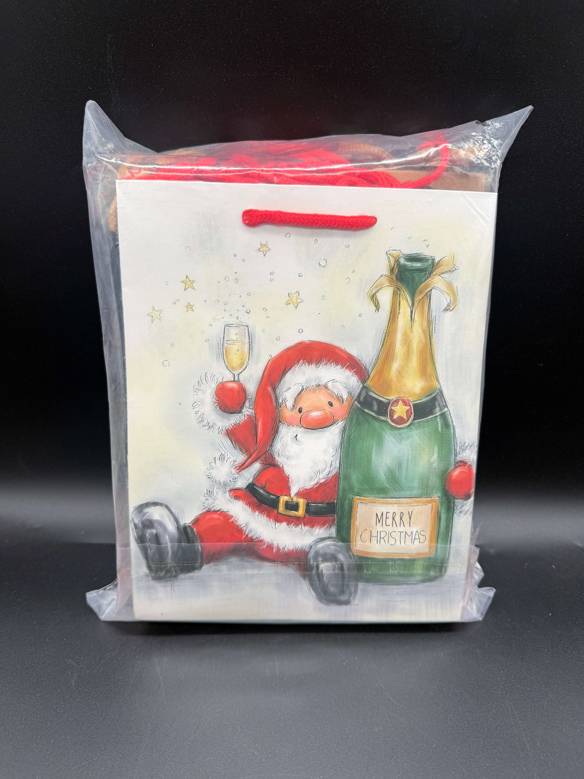 🎄 Christmas Gift Bags – 12 Pack | 12 Different Designs | Mixed Sizes 🎁