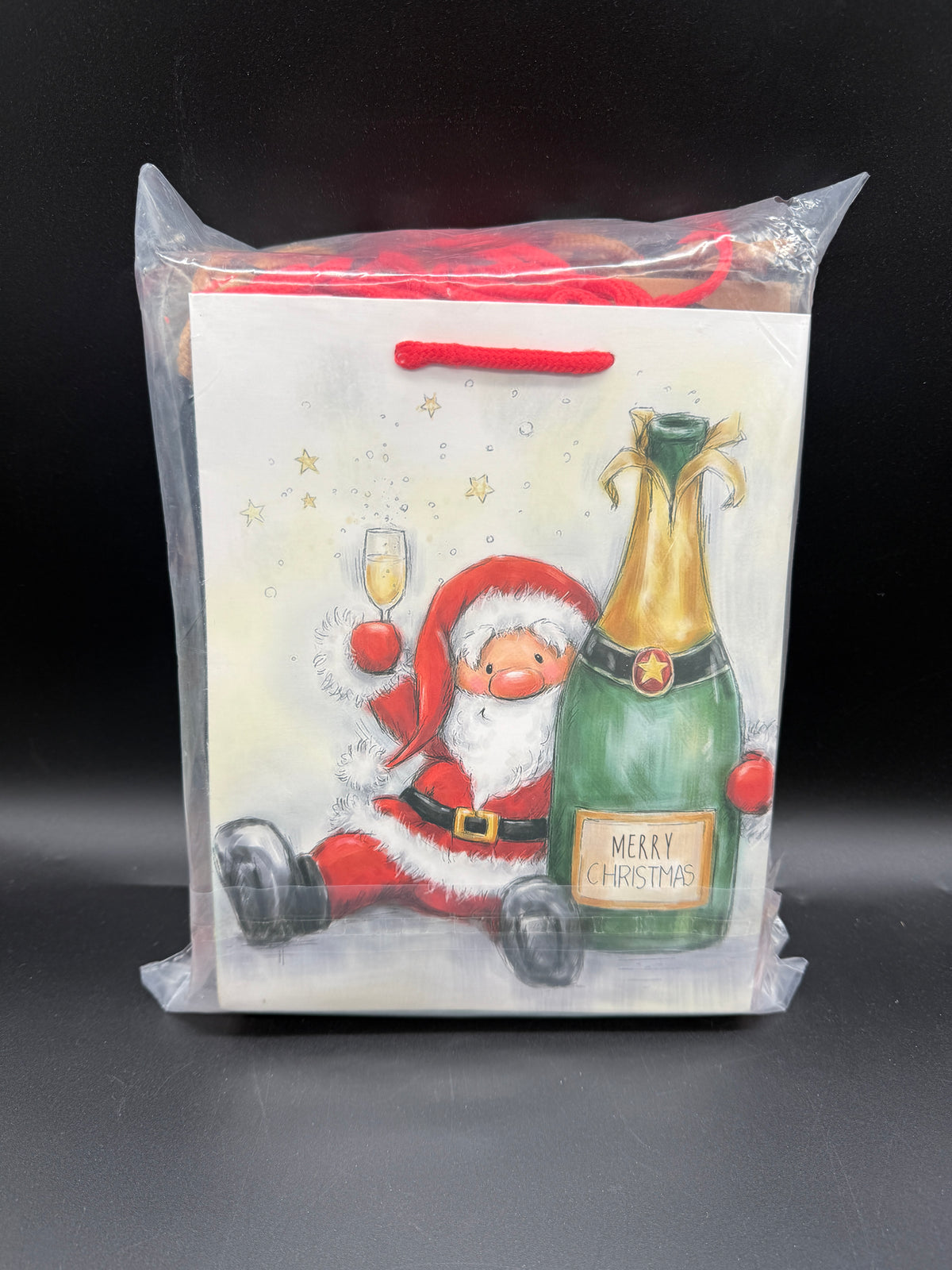 🎄 Christmas Gift Bags – 12 Pack | 12 Different Designs | Mixed Sizes 🎁